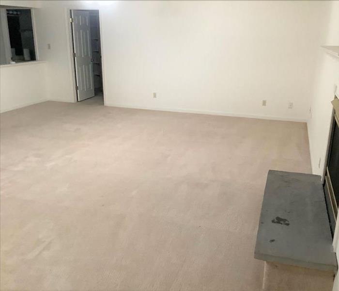 Living room with cleaned carpets