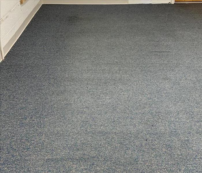 Commercial Carpet Cleaning After 