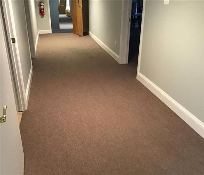 Cleaned and dry hallway brown carpet
