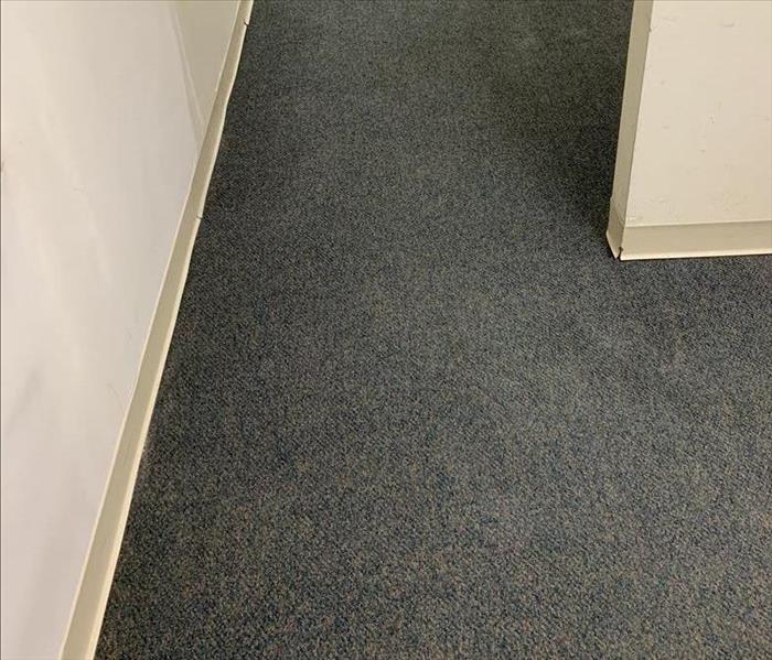 Carpet After being cleaned