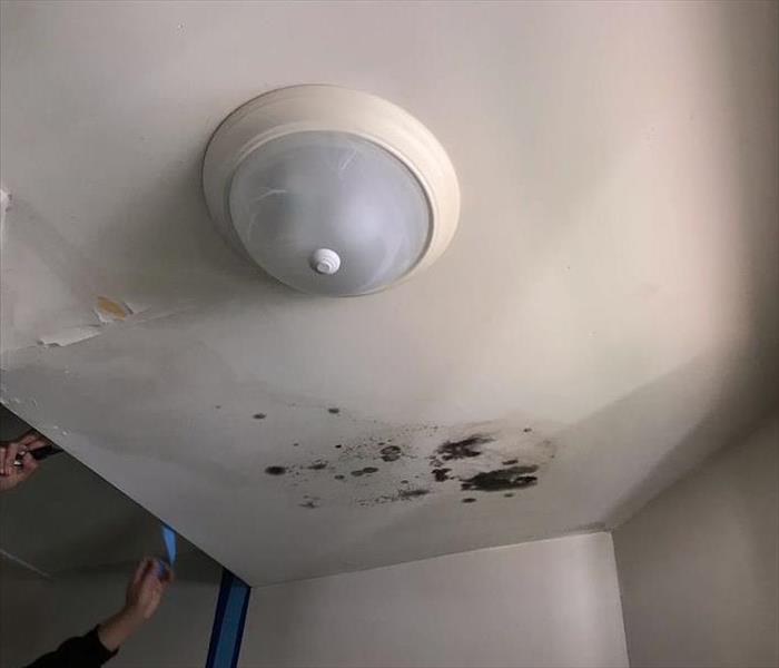 black mold damage to white ceiling