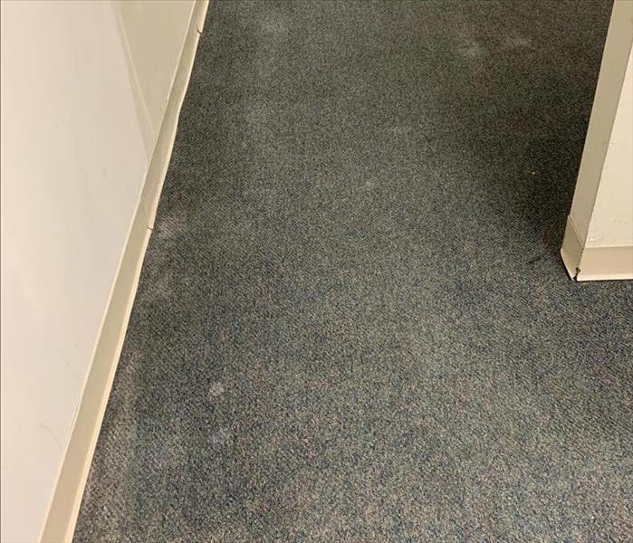Carpet Prior to being cleaned