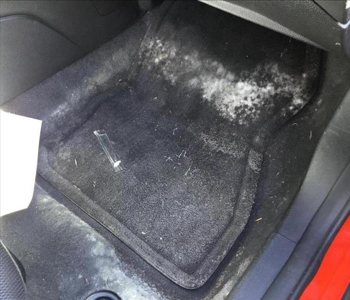 Interior of gray car floor moldy
