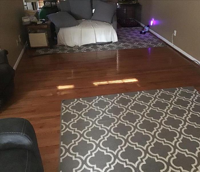 Cleaned and dry wooden flooring in home